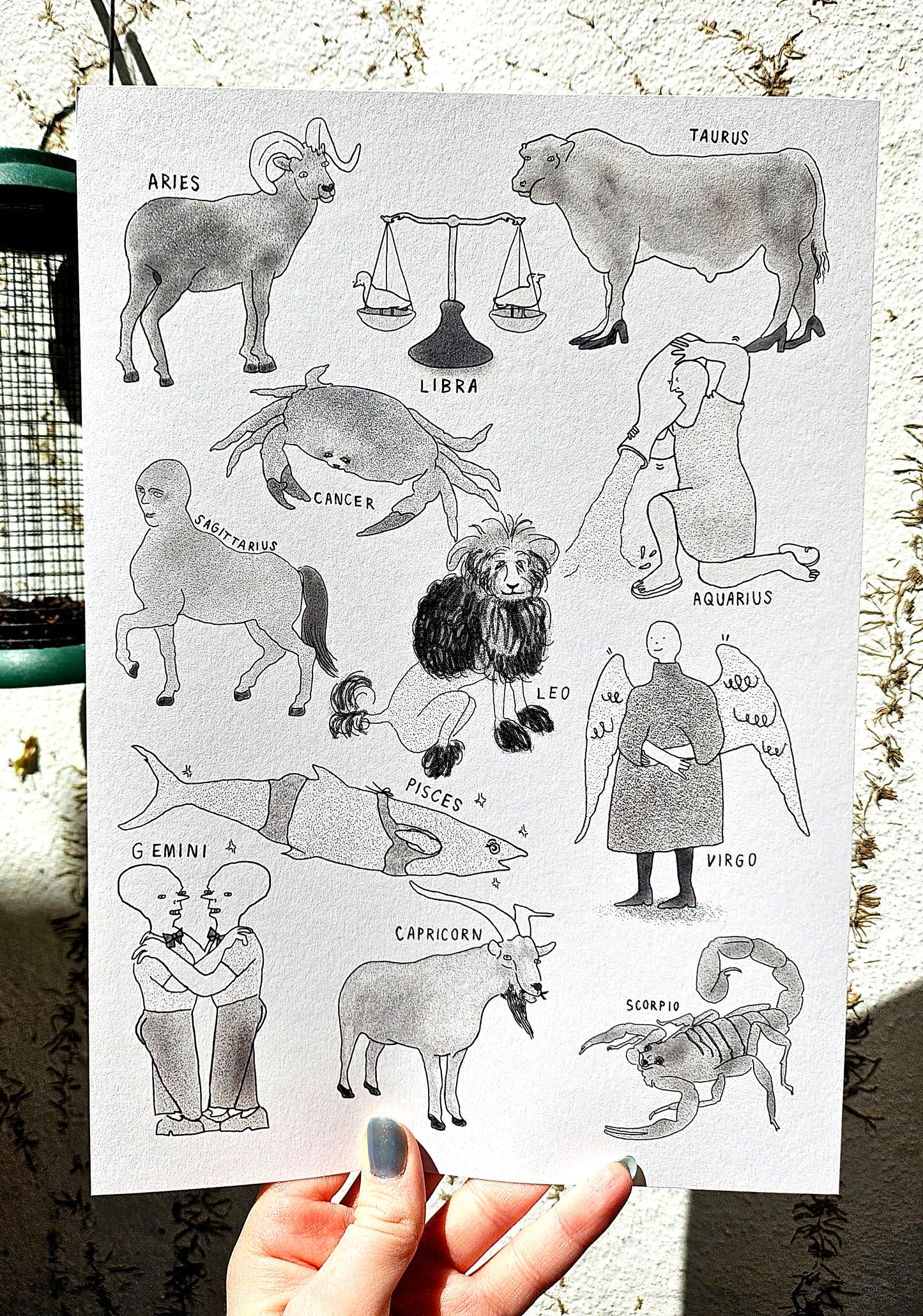 Zodiac Signs Contemporary Illustration Print